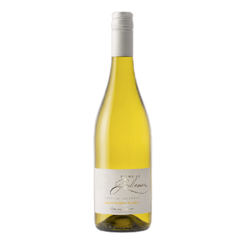 Sauvignon Blanc, 2022 (IGT Côtes de Gascogne)